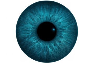 Detailed Close Up of a Blue Eye on Transparent Background