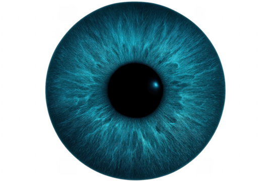 Detailed Close Up of a Blue Eye on Transparent Background