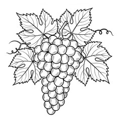 black and white vector images of various fruits