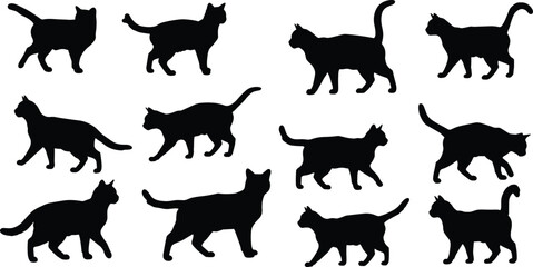 Black cat silhouette collection, walking sitting standing poses, vector design