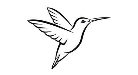 Elegant black and white hummingbird in flight line art