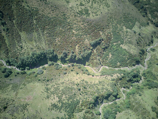 Dense Forest Canopy from Balcón de la Cardosa, Cantabria - A winding river flows through lush...