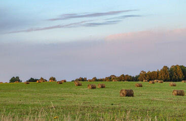 Hay bales dot a vibrant green field at sunset, creating a peaceful rural scene.