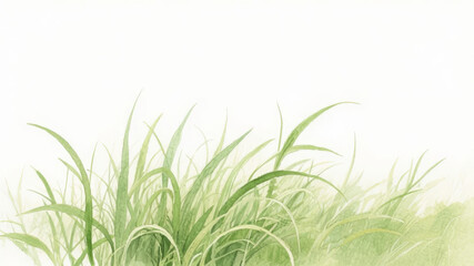 Delicate Green Grass Blades Against a Soft White Background