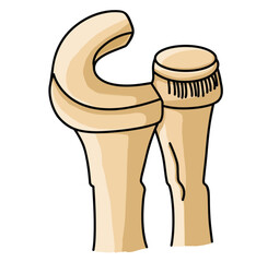 Science of hand drawn vector bone joint ball and socket clipart.