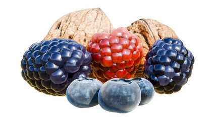 blue berry, rapsberry, walnut isolated on white background, png transparent for fruit design, jam or other food confeture