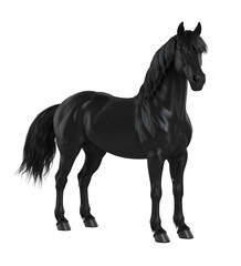 Obraz premium 3D cartoon black horse, standing with head turned, long mane and tail, isolated on white