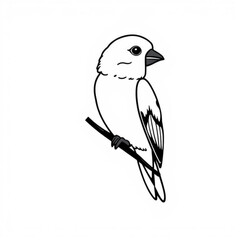 Black Parrotlet Animal Icon