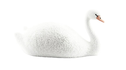 Obraz premium Elegant white swan with long neck and feathers isolated on white background 