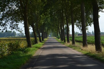 Obraz premium A rural road lined with trees through a field.