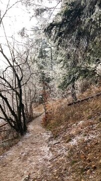 A frosty winter hike to Tomasovsky view, a stunning rock formation offering breathtaking vistas in Slovensky Raj National Park, Slovakia