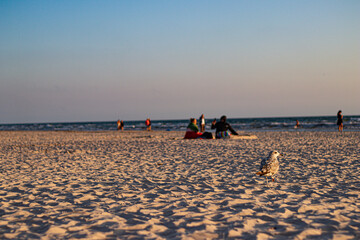 A peaceful beach scene during sunset with groups of people sitting on the sand near the shoreline....