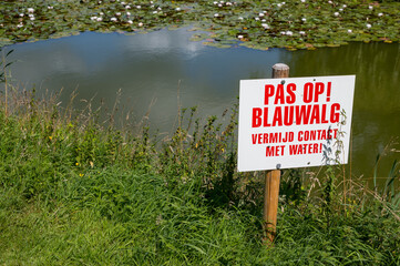 Sign warning for blue-green algae by a contaminated pond with water lilies, advising to avoid...