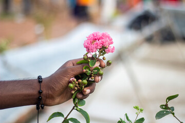 A man holds red flower, and the background is blurred