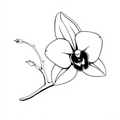 Peruvian Inca Orchid Animal Icon