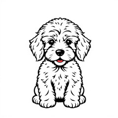 Petite Goldendoodle Puppy