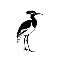 Pheasant-tailed Jacana Image