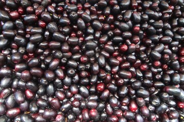 Jamun fruit, Java plum ,black plum, Malabar plum, Njaval pazham,  jamun, jaman, jambul or jambolan, It is a dark purple fruit, rich in vitamins, minerals, and antioxidants