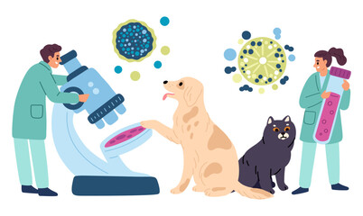 Veterinary clinic staff perform tests in laboratory using microscope. Microbes lab research. Cat and dog in vet hospital. Medical analysis for domestic animals diagnostic. Vector concept