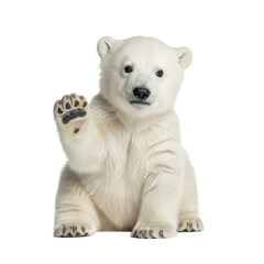 Obraz premium A charming young polar bear cub sitting with its paw raised in a friendly waving gesture