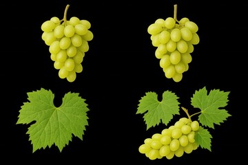 Obraz premium A Study in Symmetry and Contrast