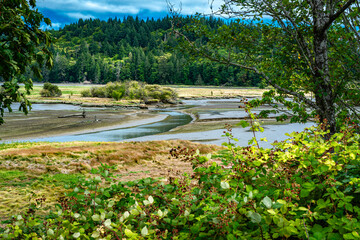 Oyster Bay Landscape 4
