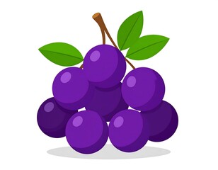 Cluster of purple berries with leaves