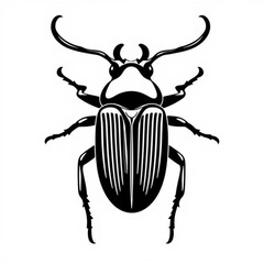 Pinacate Beetle Animal Icon