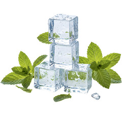 mojito cocktail with mint