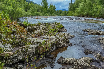 A beautiful river flows through a vibrant green forest on a sunny day.