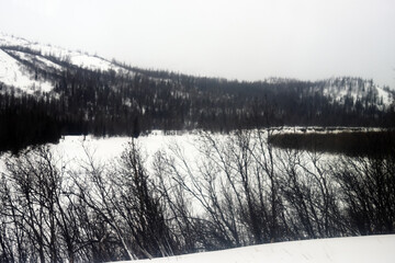 Siberia. The floodplain forest in the river valley is more dense. Snow-covered bald mountains. A...