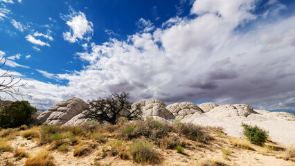 White Pocket in Utah, USA, a remote ecpanse of Navajo sandstone sculpted by wind and erosion into swirling, brain-like formation with vivd red, pink, orange, and white layers