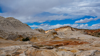 White Pocket in Utah, USA, a remote ecpanse of Navajo sandstone sculpted by wind and erosion into swirling, brain-like formation with vivd red, pink, orange, and white layers