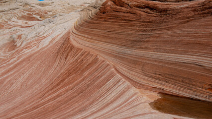White Pocket in Utah, USA, a remote ecpanse of Navajo sandstone sculpted by wind and erosion into swirling, brain-like formation with vivd red, pink, orange, and white layers