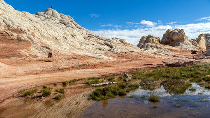 White Pocket in Utah, USA, a remote ecpanse of Navajo sandstone sculpted by wind and erosion into...