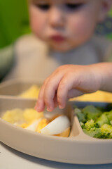 Little one in highchair exploring different food textures - soft corn porridge, crunchy broccoli and boiled egg. Natural moment of early eating experience.