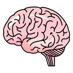 Brain Icon Isolated