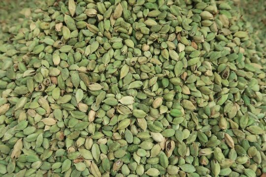 queen of spices cardamom in the spices market background	