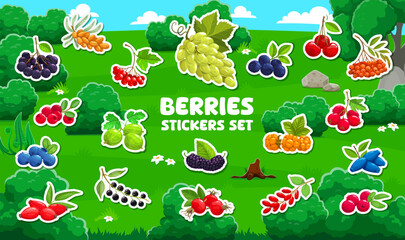 Cartoon berry stickers pack. Farm fresh berry, forest sweet fruit cartoon vector stickers or tags. Buckthorn, chokeberry, lingonberry and viburnum, gooseberry, bilberry branch labels or patches set © Vector Tradition