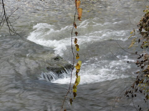 River 2