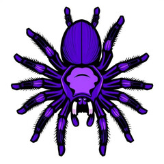 Purple Tarantula Icon