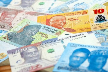 Nigerian naira currency money. The current banknotes lies on table in big amount
