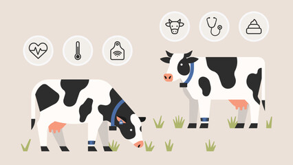 Cow health monitoring system on smart dairy farm using wearables sensors for tracking temperature, heart rate, ear tag, and productivity. Modern livestock technology. Flat vector illustration 