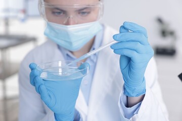 Scientist working with sample in Petri dish in laboratory, selective focus