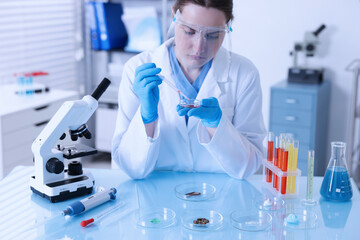Scientist working with sample in Petri dish at table in laboratory