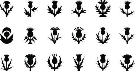 Scottish Thistle Icon Set, Silhouettes Vector Collection