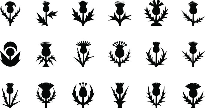 Scottish Thistle Icon Set, Silhouettes Vector Collection