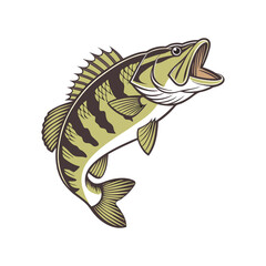 smallmouth bass micropterus dolomieu is showcased vector art