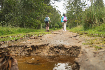 Wide angle shot of hikers walking along a muddy path in a lush green forest