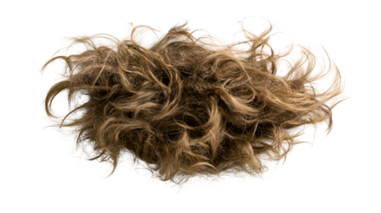 Abstract organic fibrous cloud shape isolated on transparent background